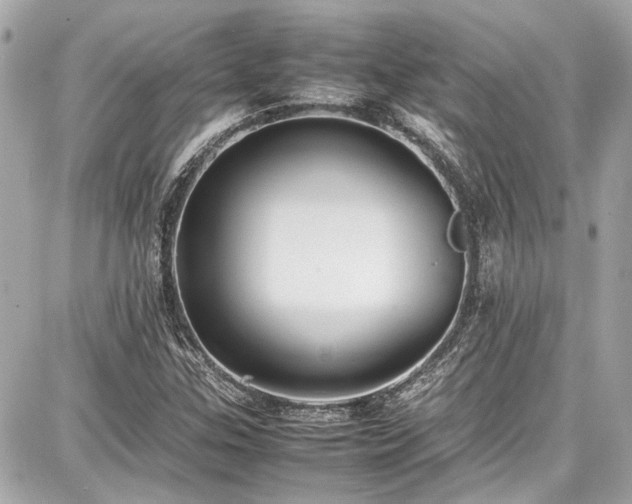 X0000087751307200705141240
