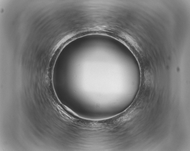 X0000087751308200705141240
