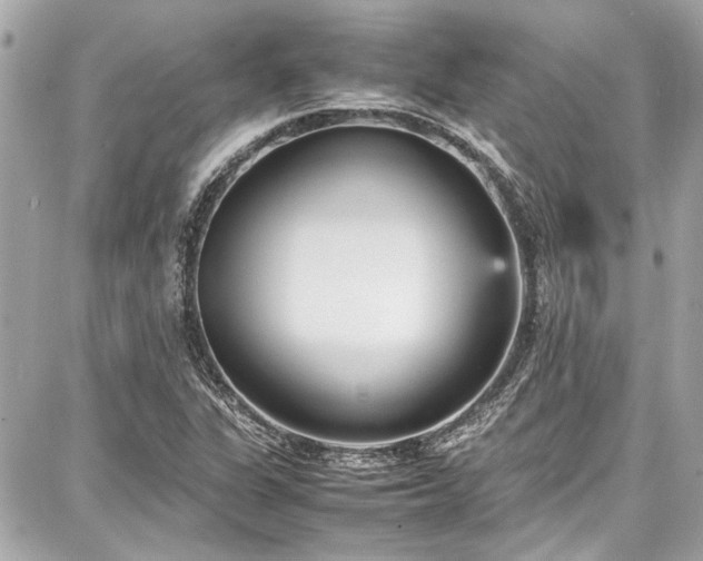 X0000087751311200705141240