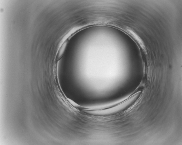 X0000087751340200705141240