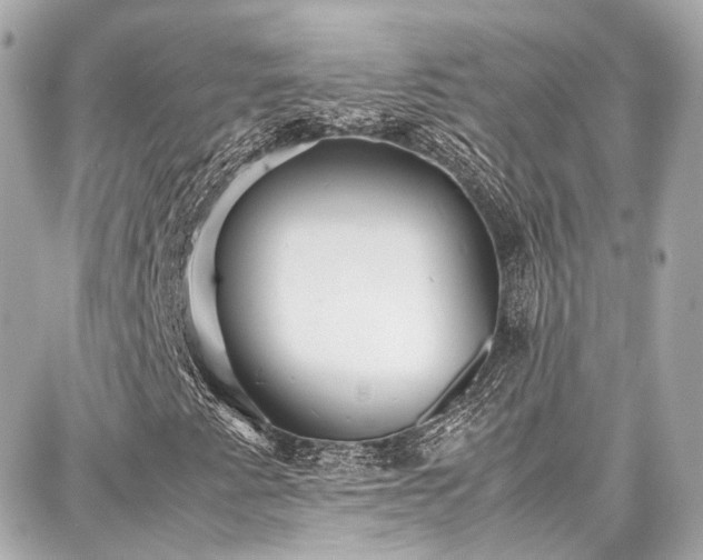X0000087751345200705141240