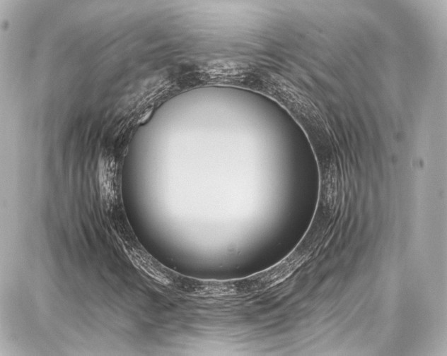 X0000087751346200705141240