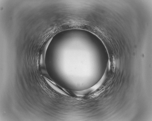 X0000087751348200705141239