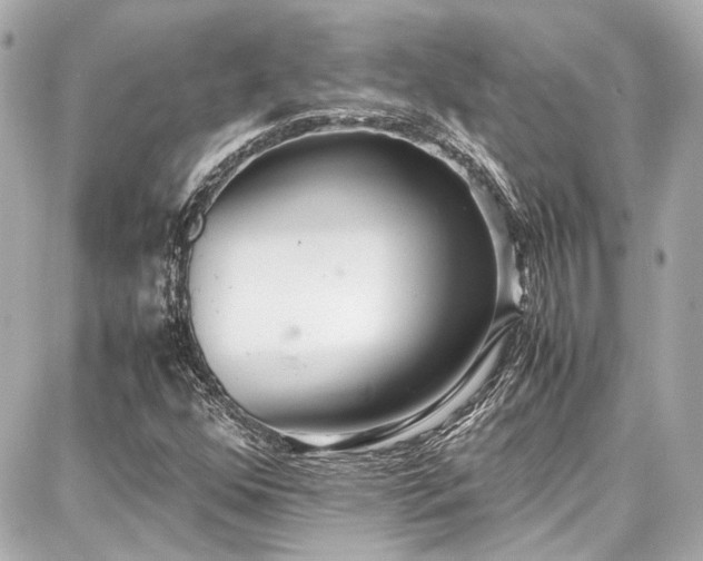 X0000087751352200705141239