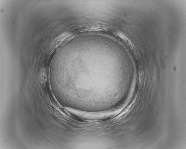 X0000087751353200705141239