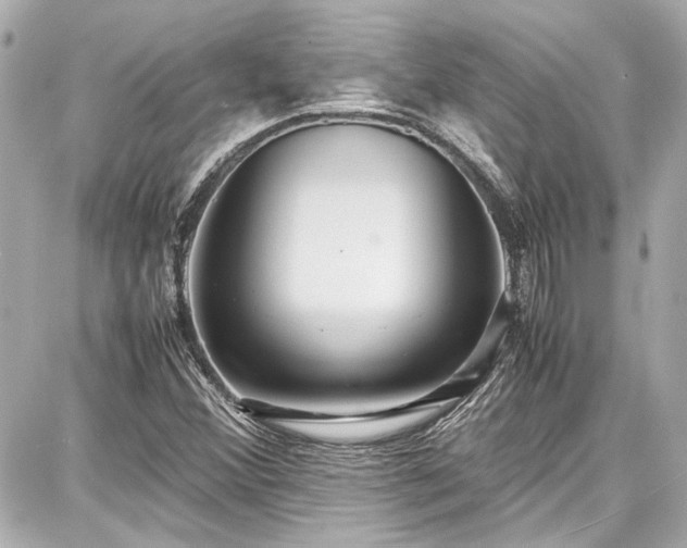 X0000087751356200705141239