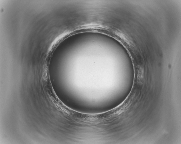 X0000087751358200705141239