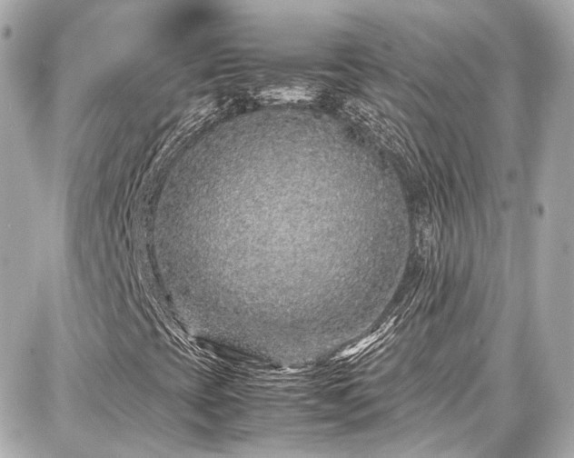 X0000087751393200705141238