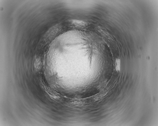 X0000087751395200705141238