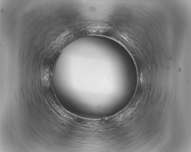 X0000087751396200705141238