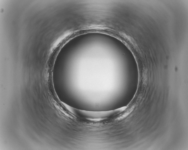 X0000087751406200705141238