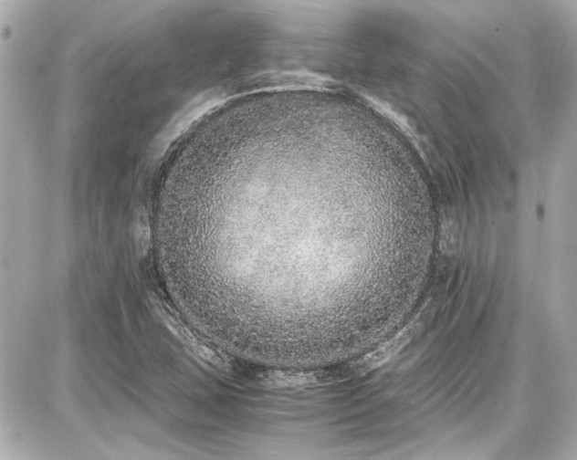 X0000087751407200705141238
