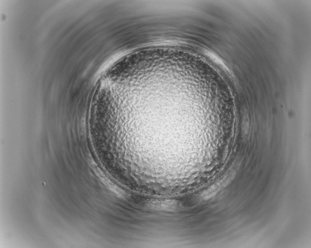 X0000087751417200705141238