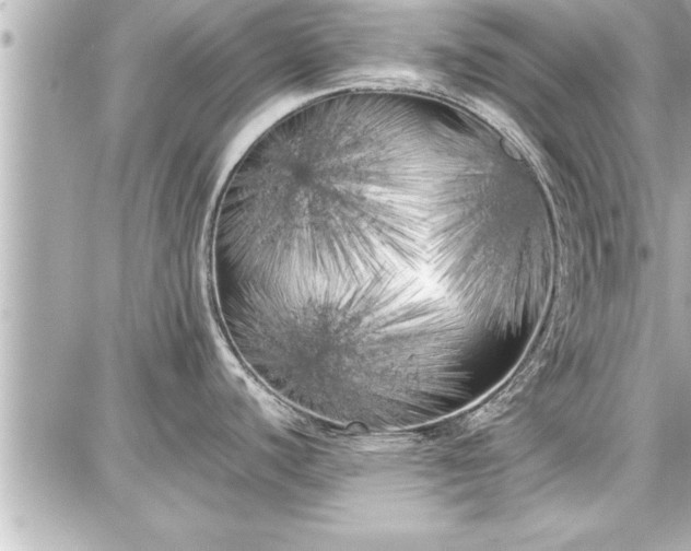 X0000087751440200705141239