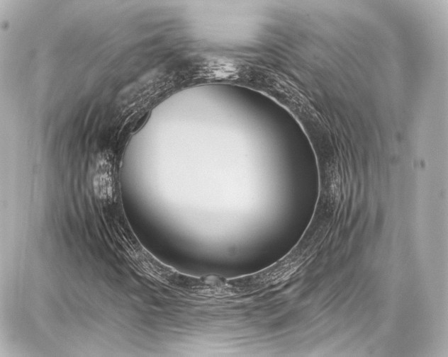 X0000087751442200705141238