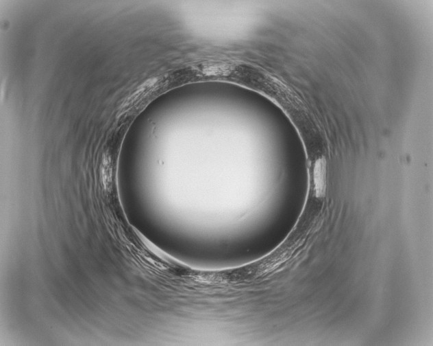 X0000087751443200705141238