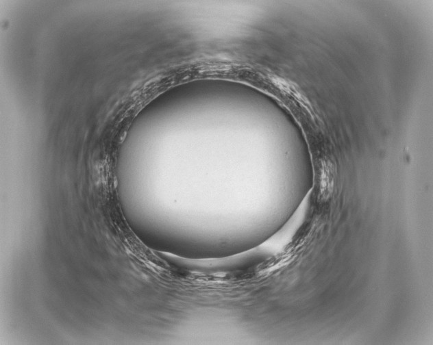 X0000087751445200705141238