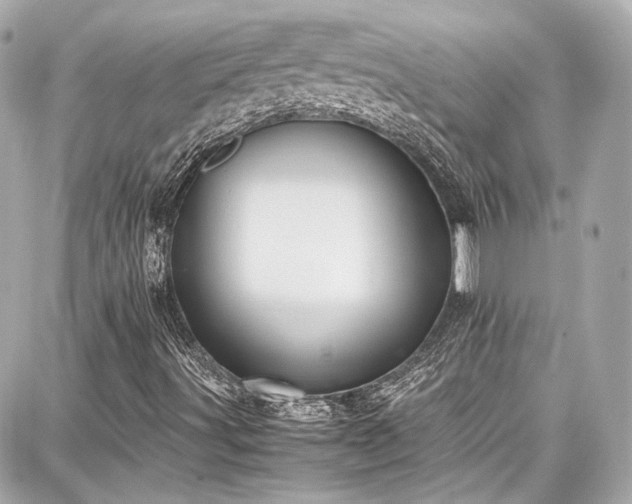 X0000087751491200705141236