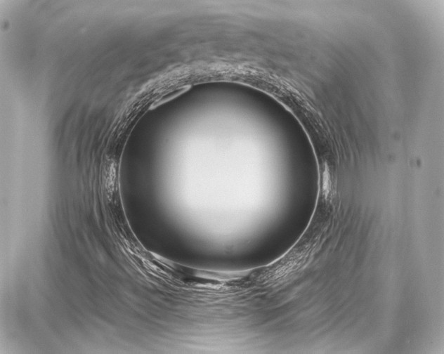 X0000087751492200705141236