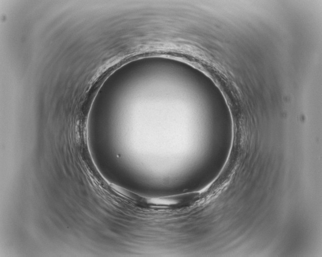 X0000087751497200705141237