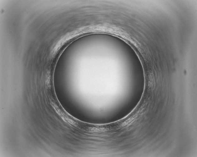 X0000087751499200705141237