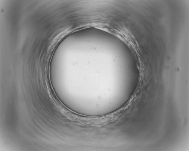 X0000087750001200705211049