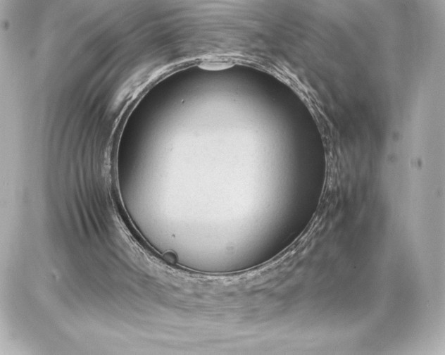 X0000087750002200705211049