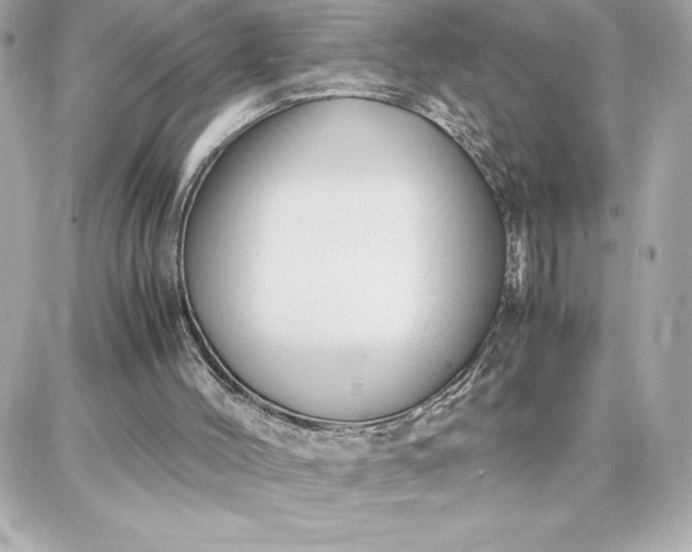 X0000087750004200705211049