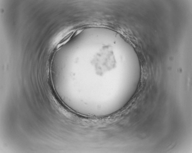 X0000087750005200705211049