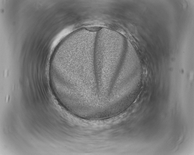 X0000087750006200705211049