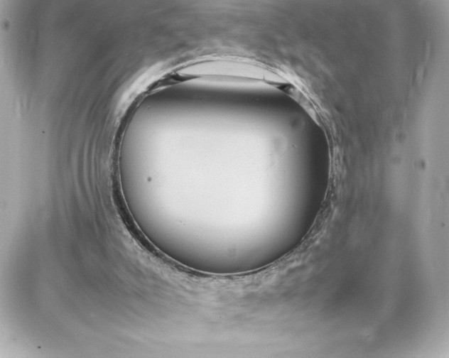 X0000087750007200705211049