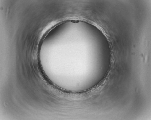 X0000087750008200705211049