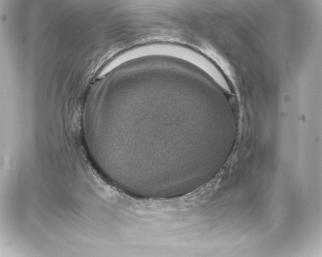 X0000087750009200705211049