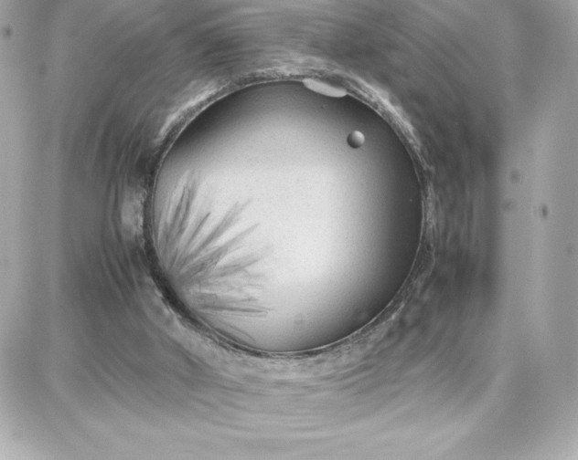 X0000087750010200705211049