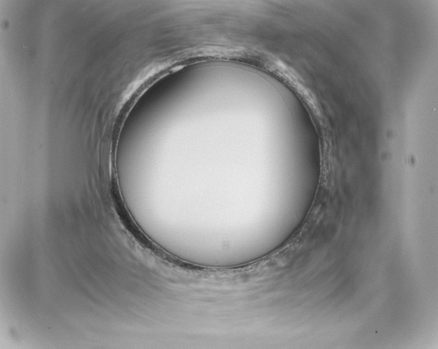 X0000087750011200705211049