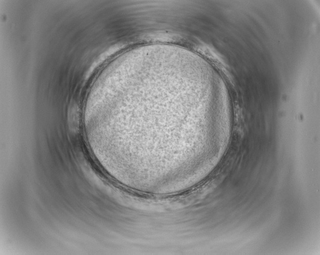 X0000087750012200705211049