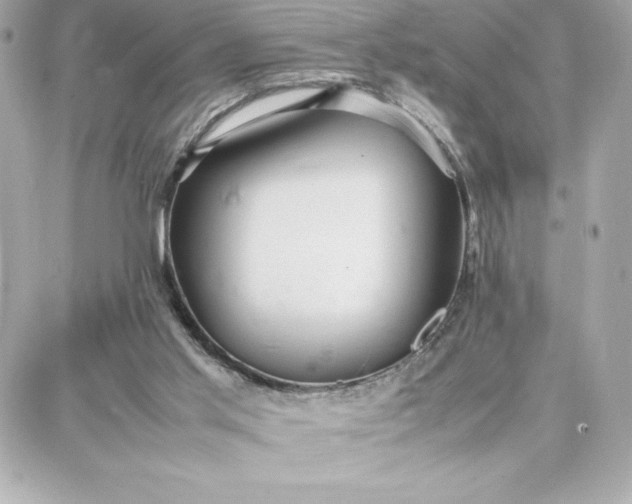 X0000087750013200705211048