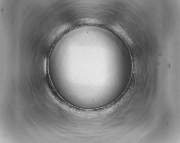 X0000087750014200705211048