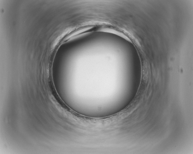 X0000087750015200705211048