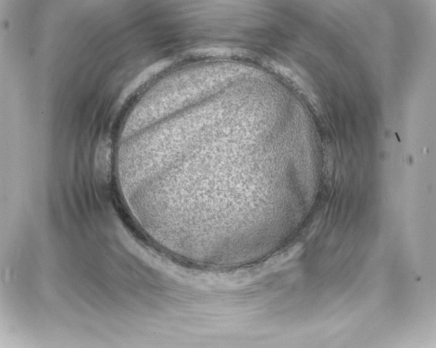 X0000087750016200705211048