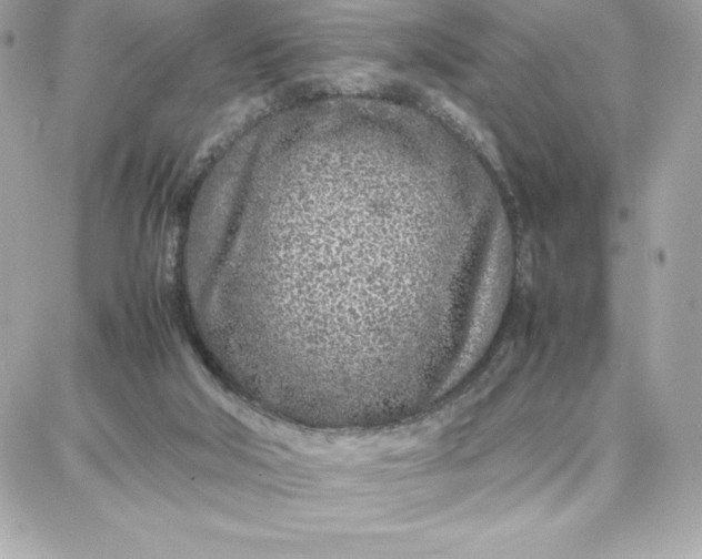 X0000087750018200705211048