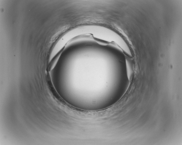 X0000087750019200705211048