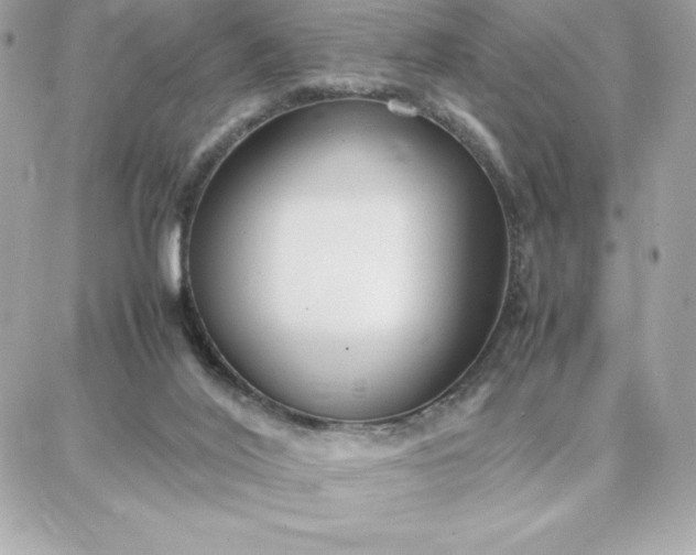 X0000087750020200705211048