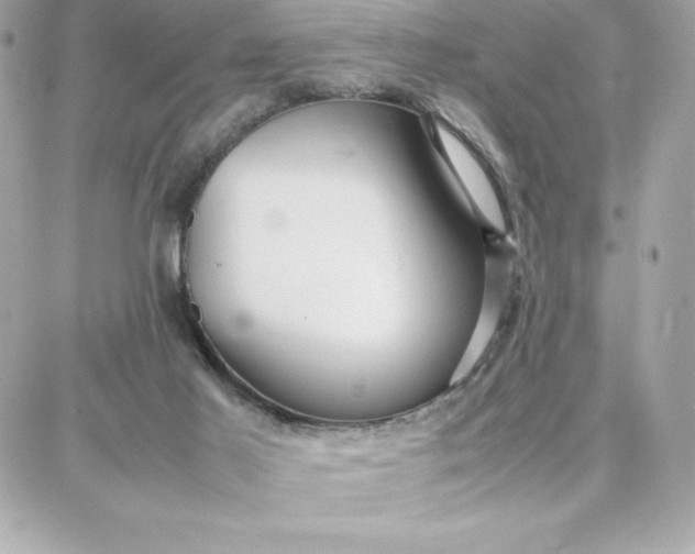 X0000087750021200705211048