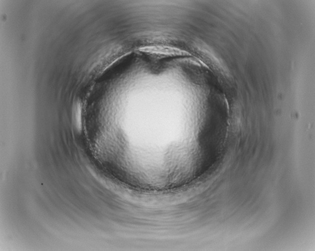 X0000087750022200705211048