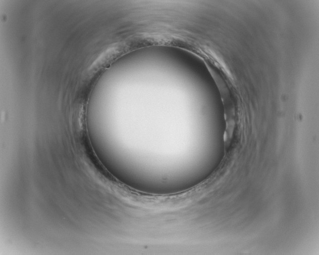 X0000087750023200705211048