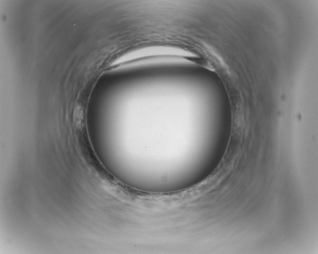 X0000087750025200705211048