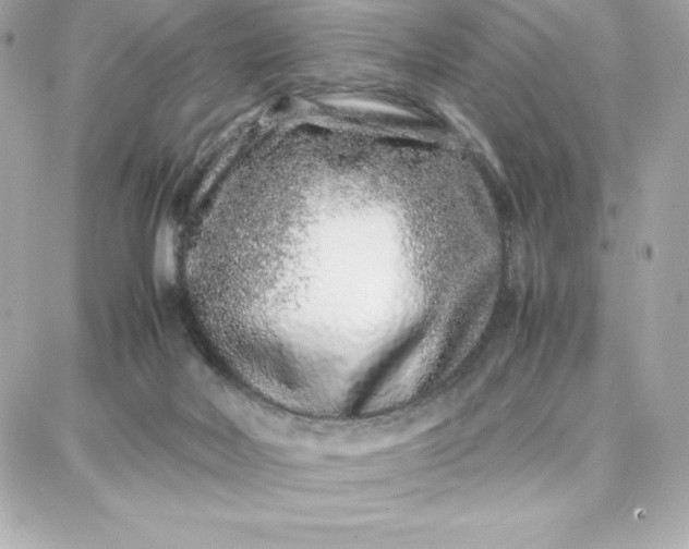 X0000087750026200705211048