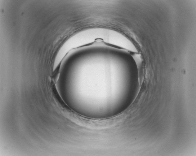 X0000087750027200705211048