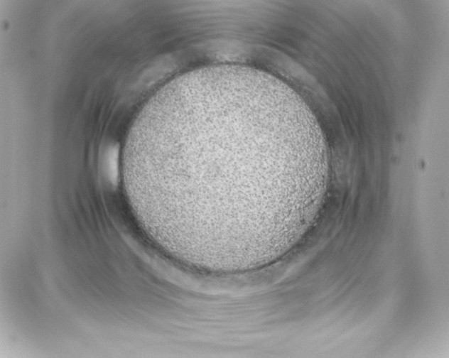 X0000087750028200705211048